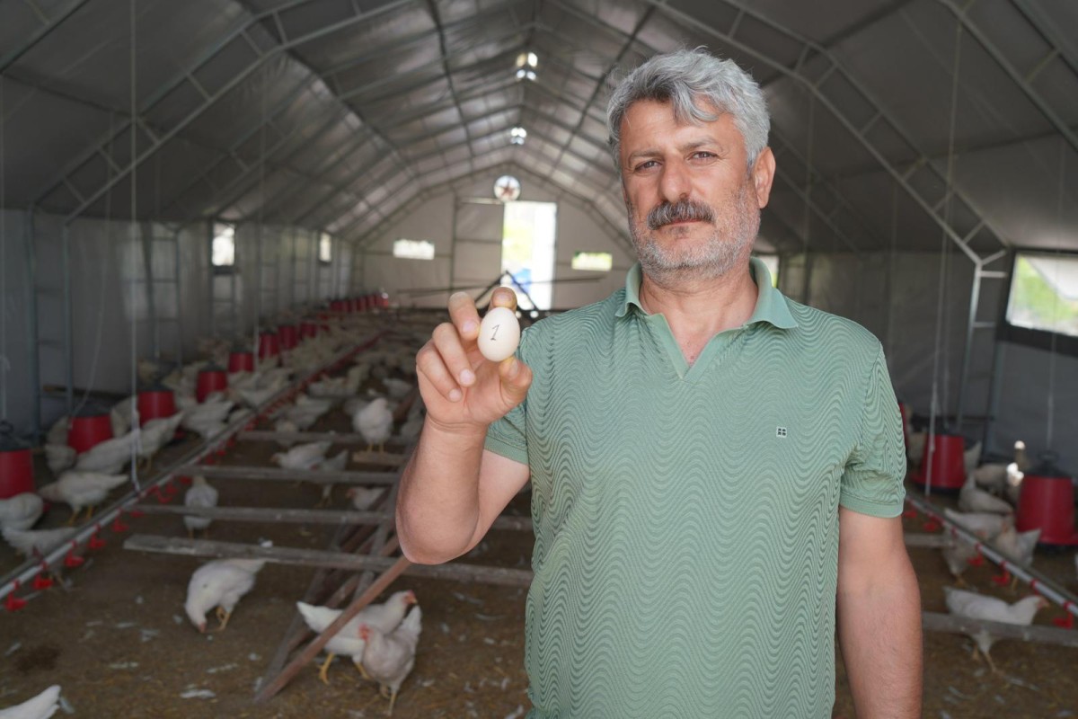 Adıyaman Belediyesi’nin Kümes Hayvancılığı Tesisi’nde Üretim Başladı  İlk Yumurta Alındı, Ekonomik Satış İçin Geri Sayım Başladı