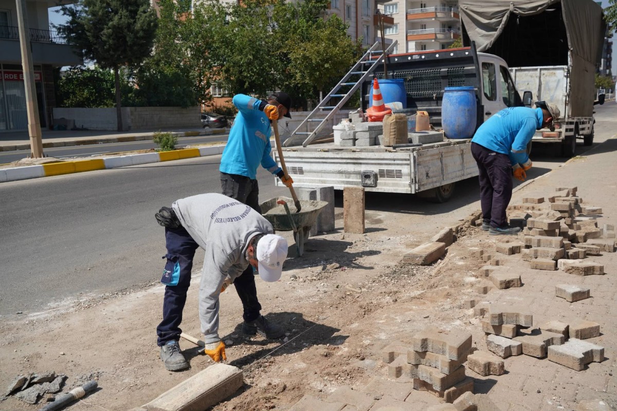 Başkan Tutdere Sahadaki Asfalt Çalışmalarını Yakından Takip Ediyor