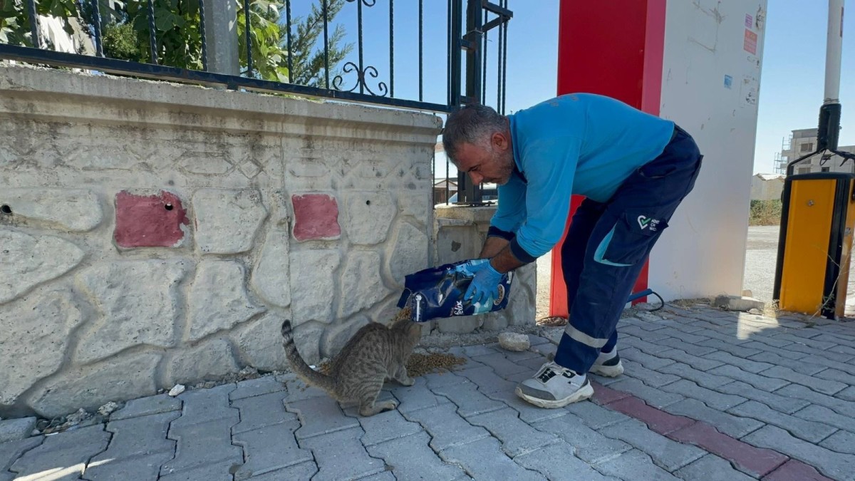 Adıyaman Belediyesi’nden Tahliye Edilen Konteyner Kentlerde Sokak Canlarına Mama ve Su Desteği