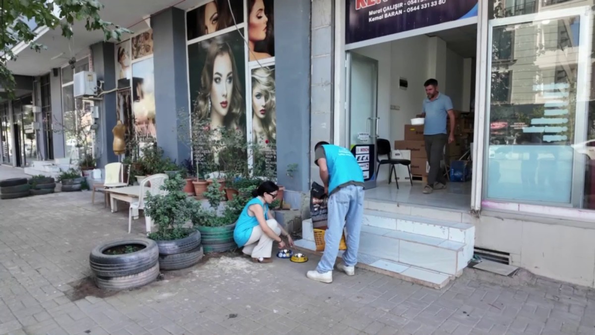 Adıyaman’da Sokak Hayvanları İçin 20 Noktaya Beslenme İstasyonu