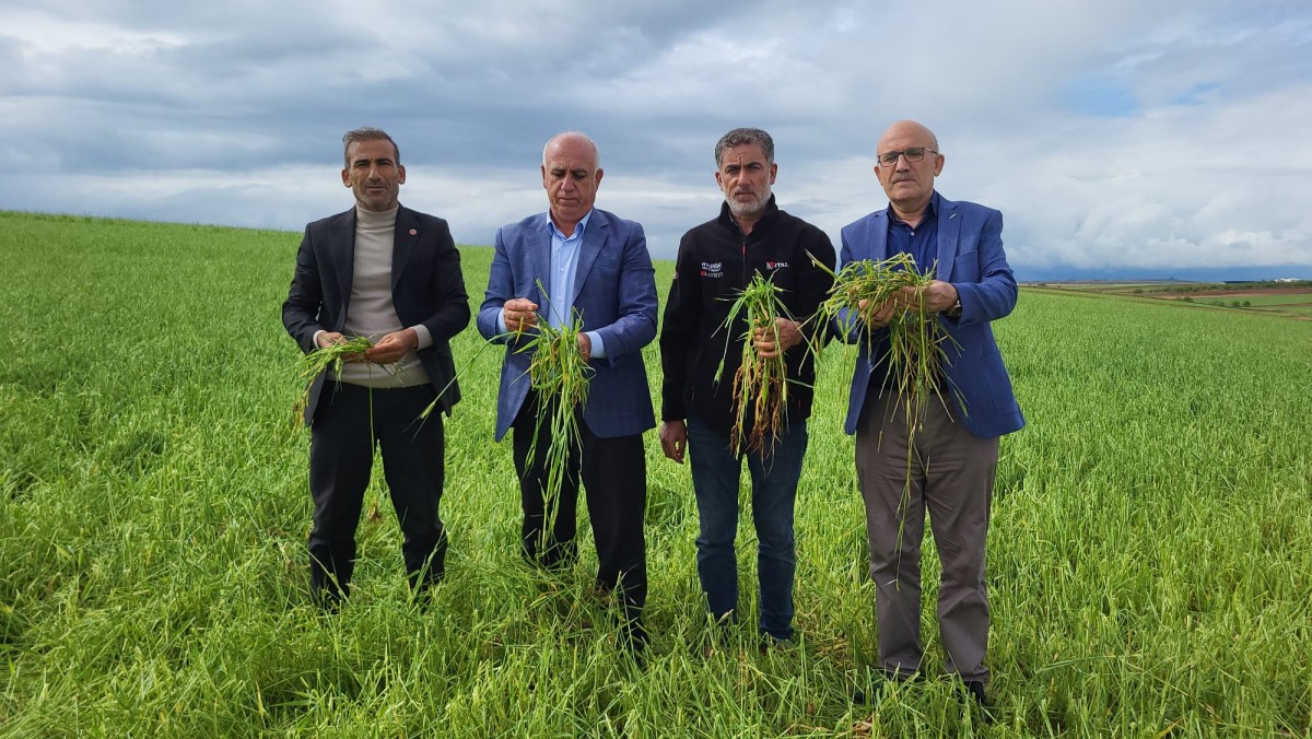Dolu Felaketi Çiftçiyi Vurdu: “Emeklerimiz Yok Oldu, Destek Olmazsa Batarız!”