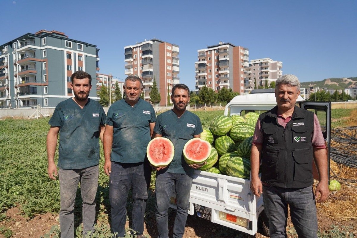 Adıyaman Belediyesi Üretti, Vatandaş Uygun Fiyata Aldı Belediyenin Bostanında Yetişen Karpuzun Kilosu 5 TL