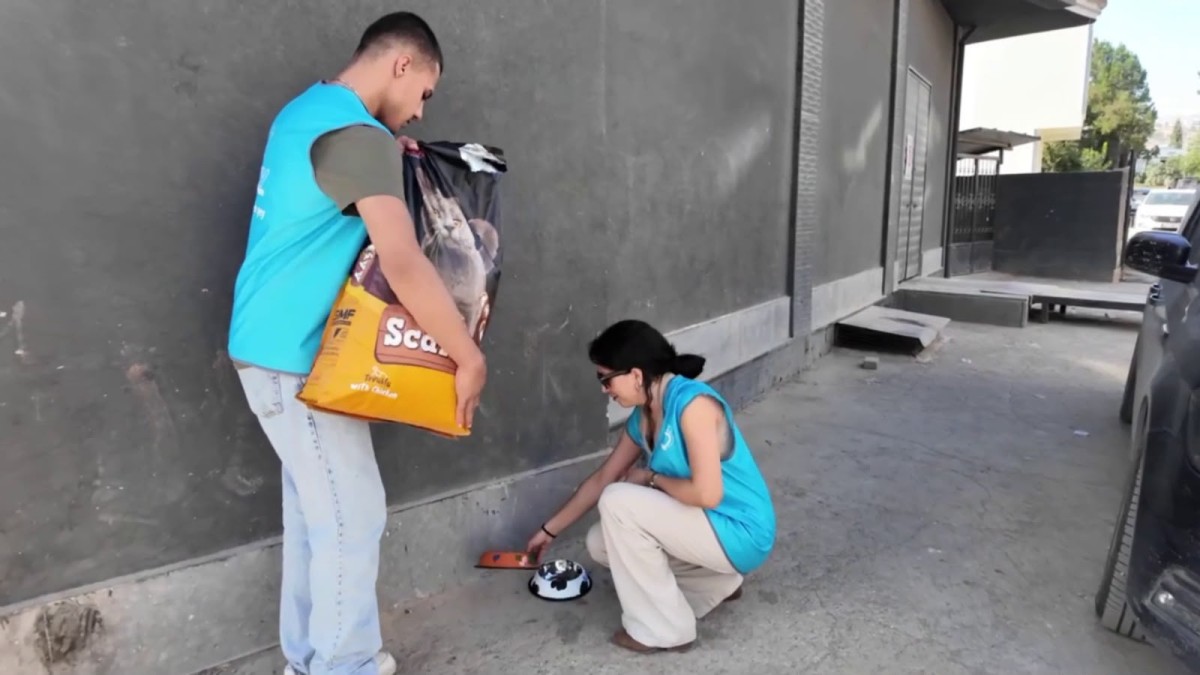 Adıyaman Belediyesi ve AGEYV’den 4 Ekim Hayvanları Koruma Günü Öncesinde Anlamlı Etkinlik 