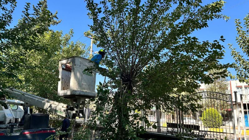 Adıyaman Belediyesi’nden Eski Mezarlık’ta Kapsamlı Bakım ve Temizlik Çalışması